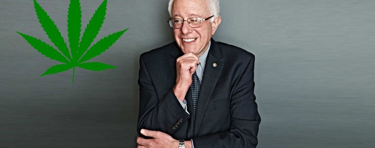 Bernie Sanders Marijuana Prohibition
