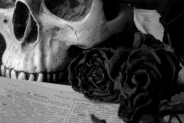 black roses skull