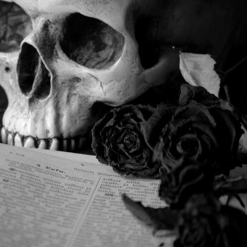 black roses skull